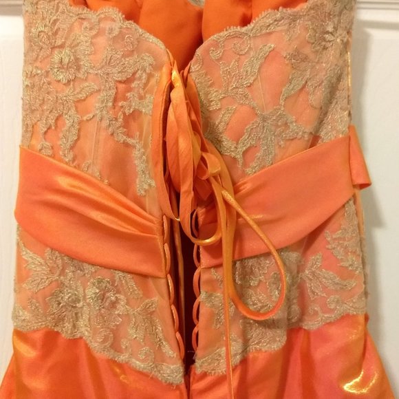 Prom/Formal Gown - Picture 5 of 8